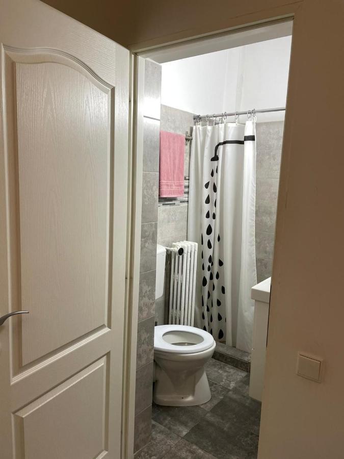 布加勒斯特Centru Charming New Apartament Piata Universitate公寓 外观 照片